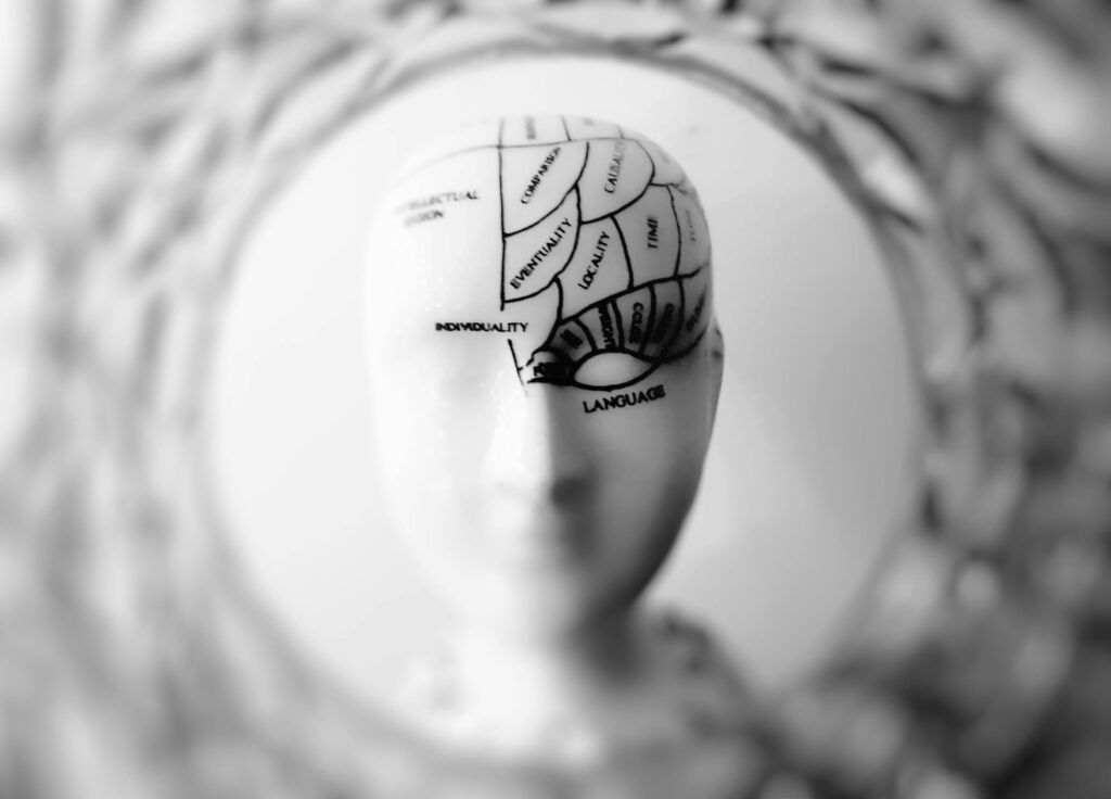 Mental Health Close-up black and white image of a phrenology head with brain sections labeled.